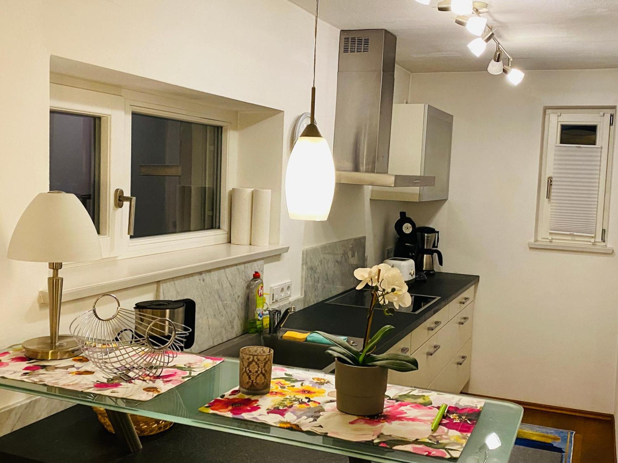 Fewo Luxus Wohnung Im Eigenen Ferienhaus, 120 Qm, Naehe Regensburg Mit Balkon, Terrasse & Garten, Gute Zuganbindung Laber Eksteriør bilde